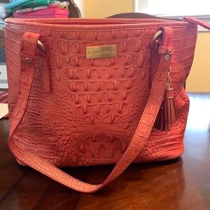 Brahmin Medium Asher